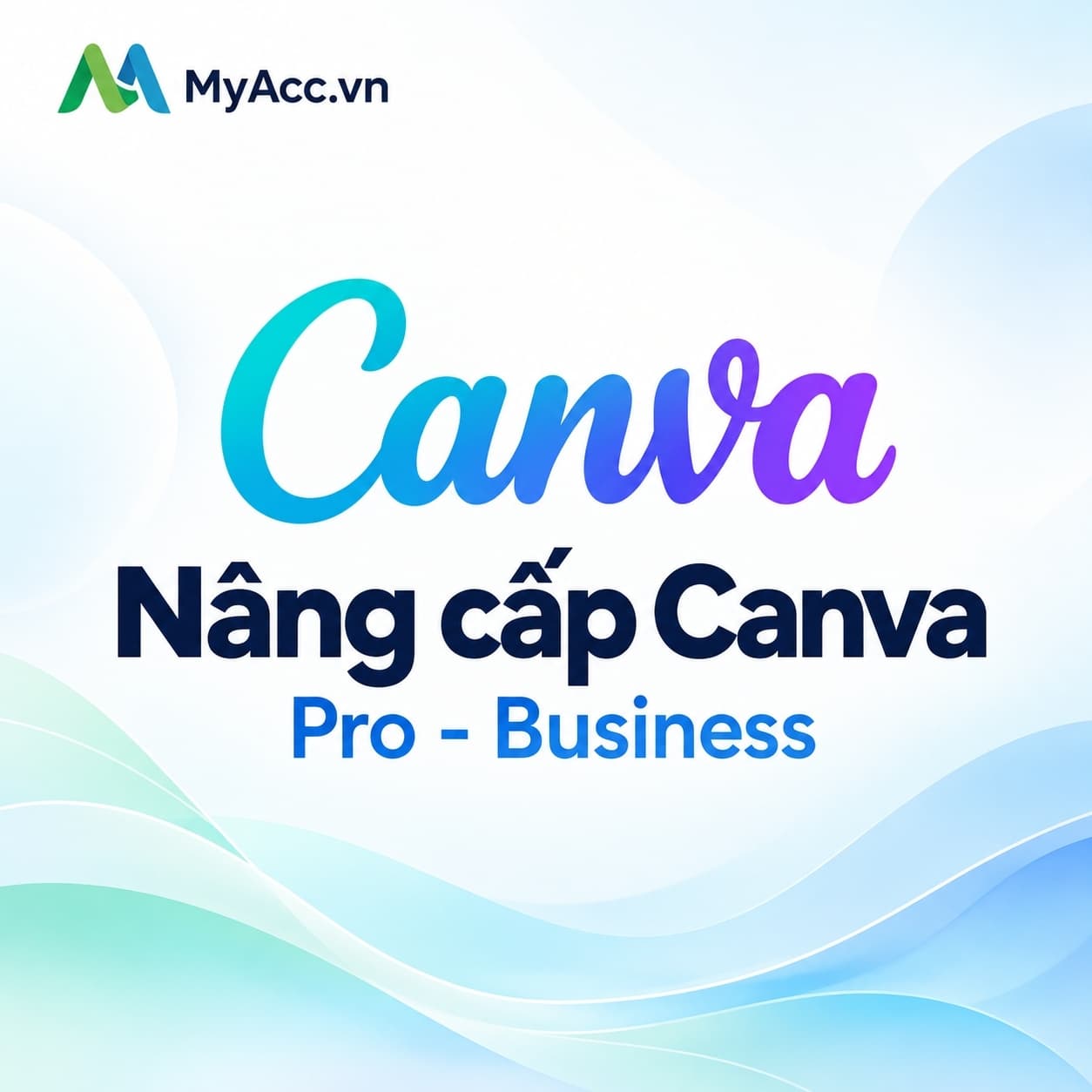 Nâng cấp Canva Pro - Business